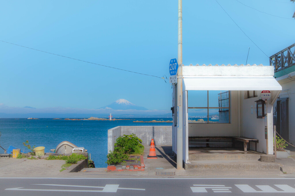 海を見に行きました✨