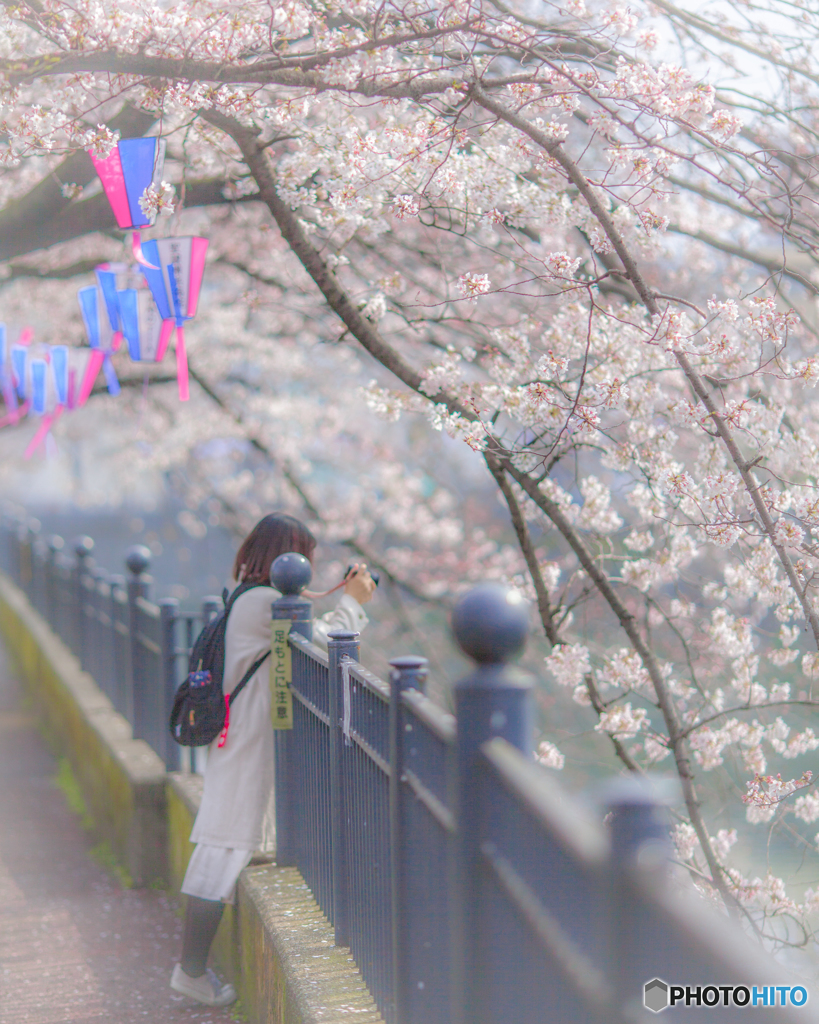 上手く撮れるかなぁ、、