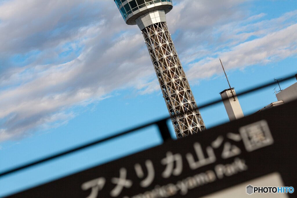 お散歩コース❣️