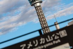 お散歩コース❣️