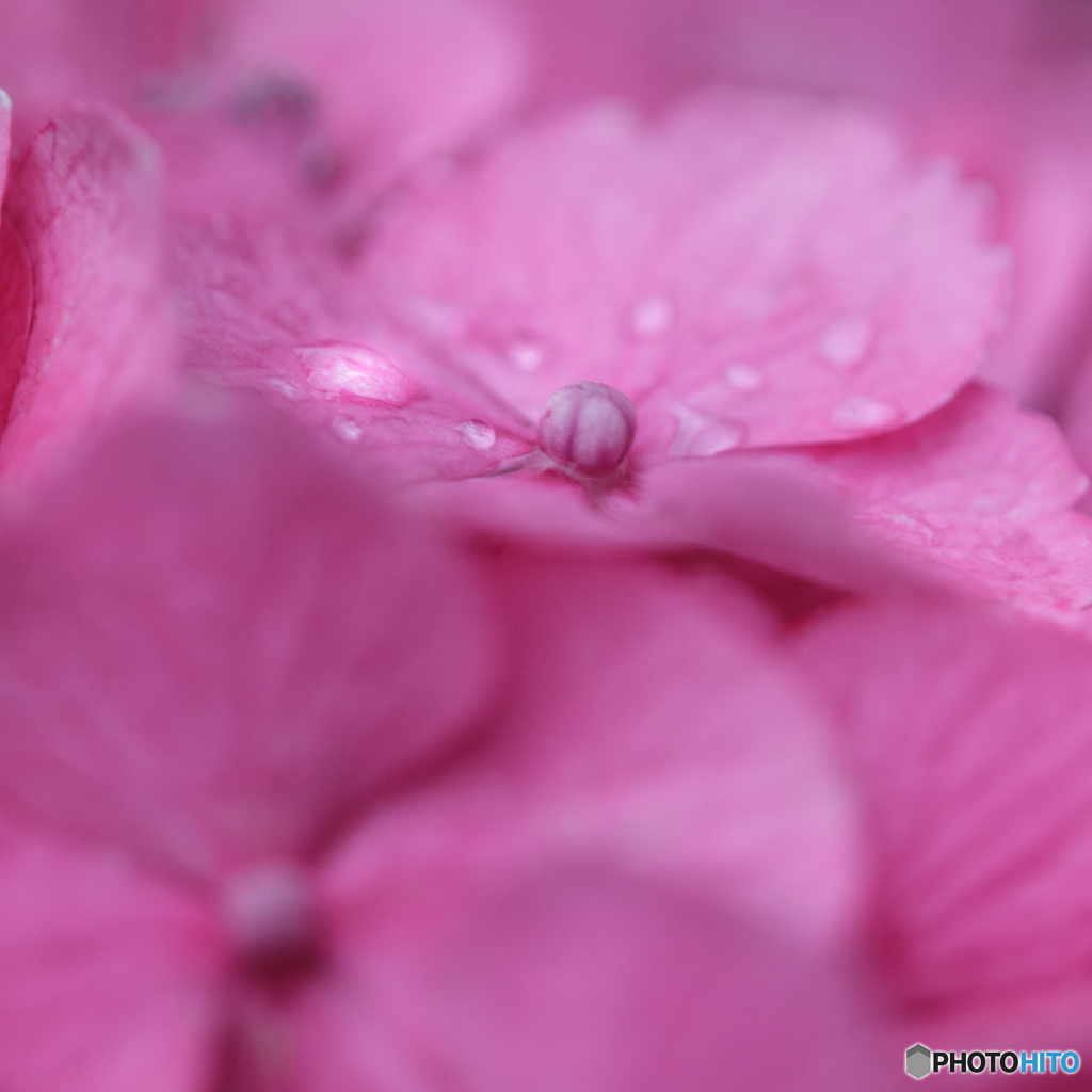 まだ火曜日。。❣️