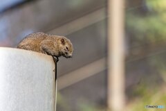 変な気おこさないで❣️