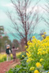 平塚　花菜ガーデンにて❣️