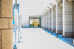 暑い横浜美術館まえにて。。