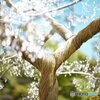 箱根ガラスの森にて❣️