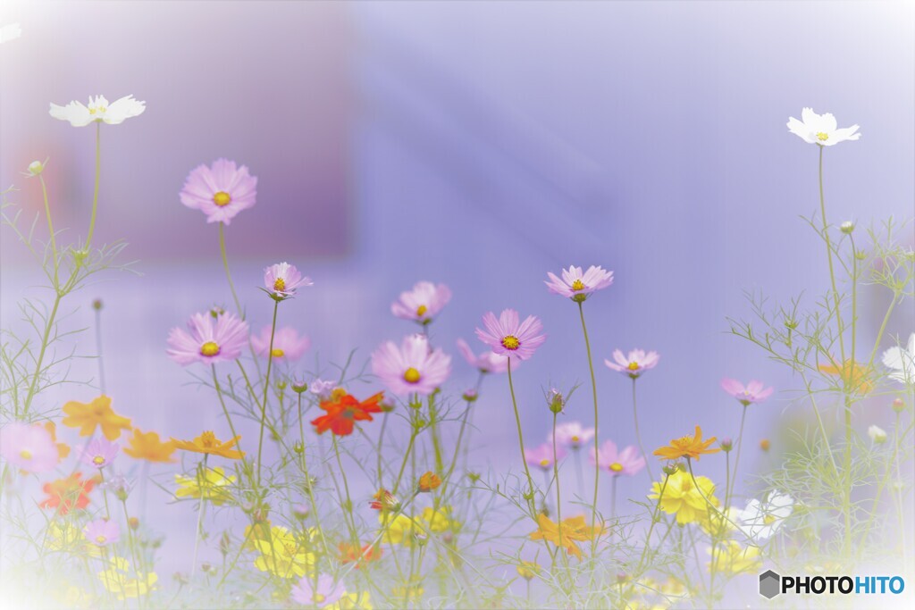 とある一画❣️