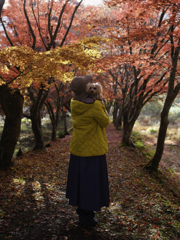 紅葉めぐり