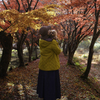 紅葉めぐり