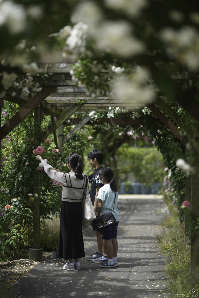 孫っちとの休日