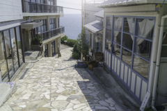 きらきら坂