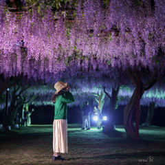 鬼滅の花（その弐）