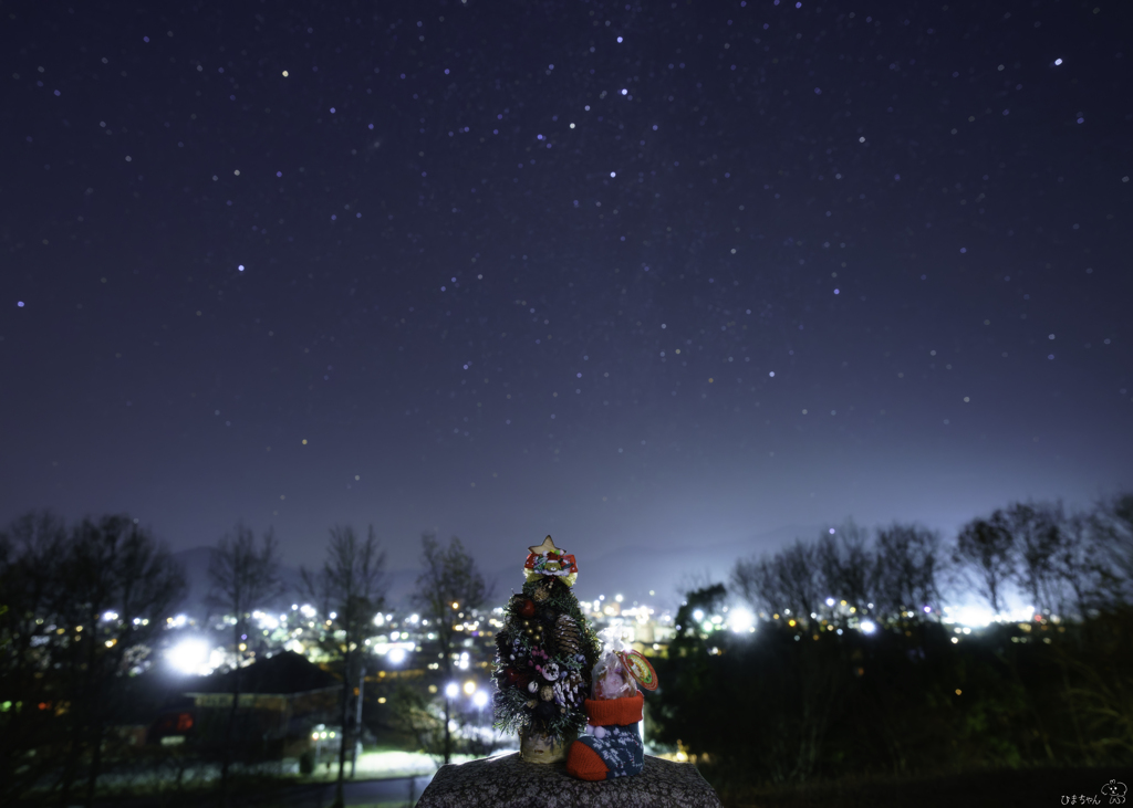 Merry Christmas To You Ⅱ