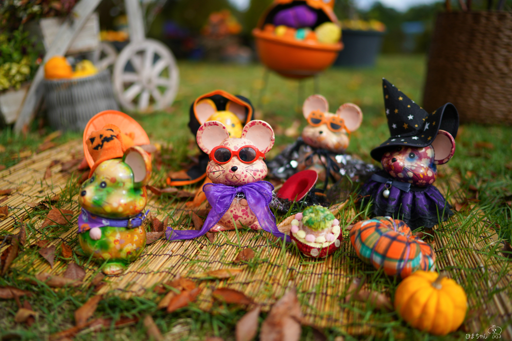 ハロウィンパーティーでチュー　(・。・)