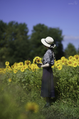 Pure Yellow