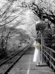 春の旅人
