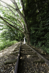 美しい廃線跡 Ⅱ