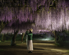 鬼滅の花 (その壱)