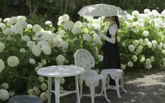 夏のはじまり