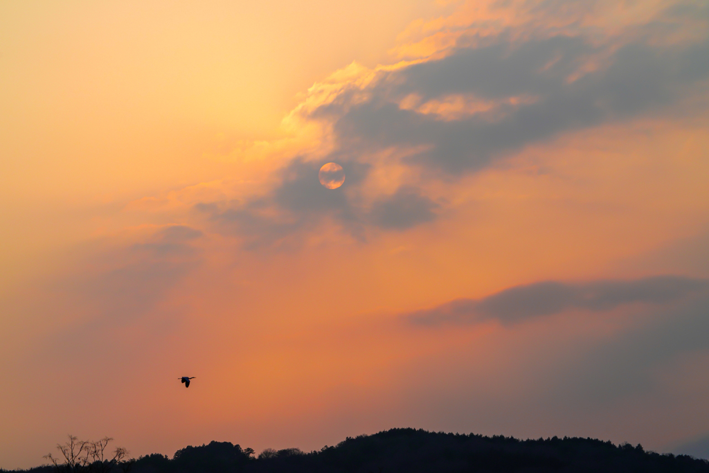 夕焼け雲 By ひまちゃん Id 写真共有サイト Photohito