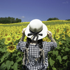 Pure Yellow Ⅱ
