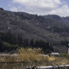 山桜咲くころ