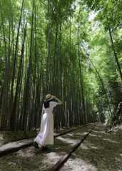 美しい廃線跡 Ⅳ
