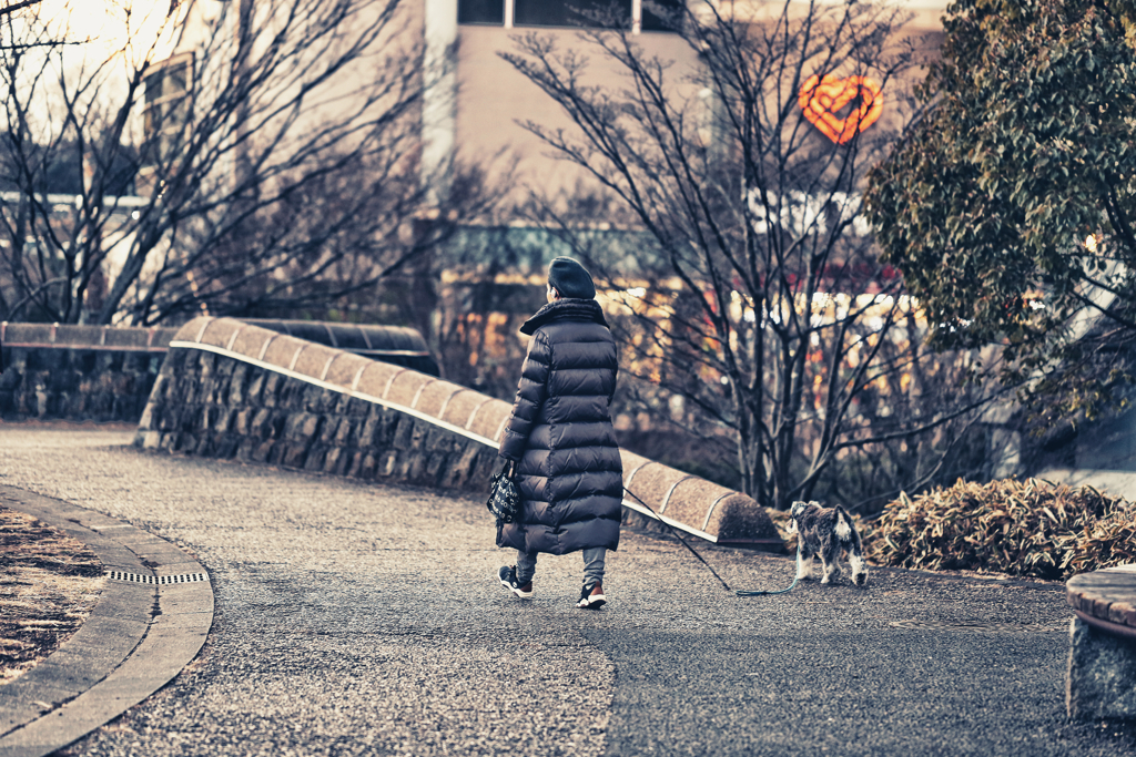 愛犬ドリムとのお散歩