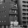 父ちゃんの、通勤