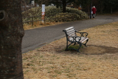 愛犬ドリムとのお散歩