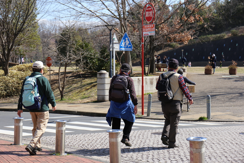 愛犬ドリムとのお散歩