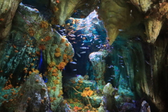 海底洞窟...