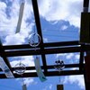 夏の風物詩