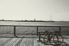 海まで来た