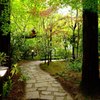 久屋大通庭園フラリエ
