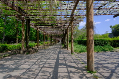 名古屋にて①