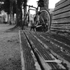 冬の公園