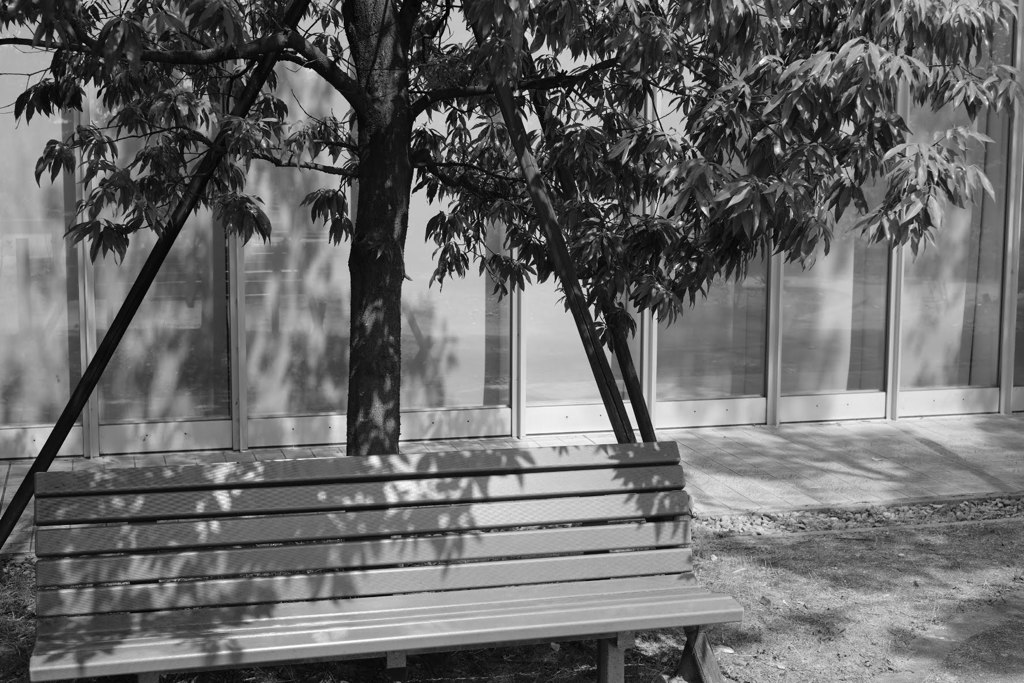 Bench