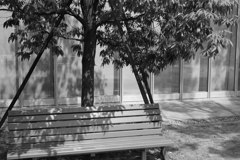 Bench