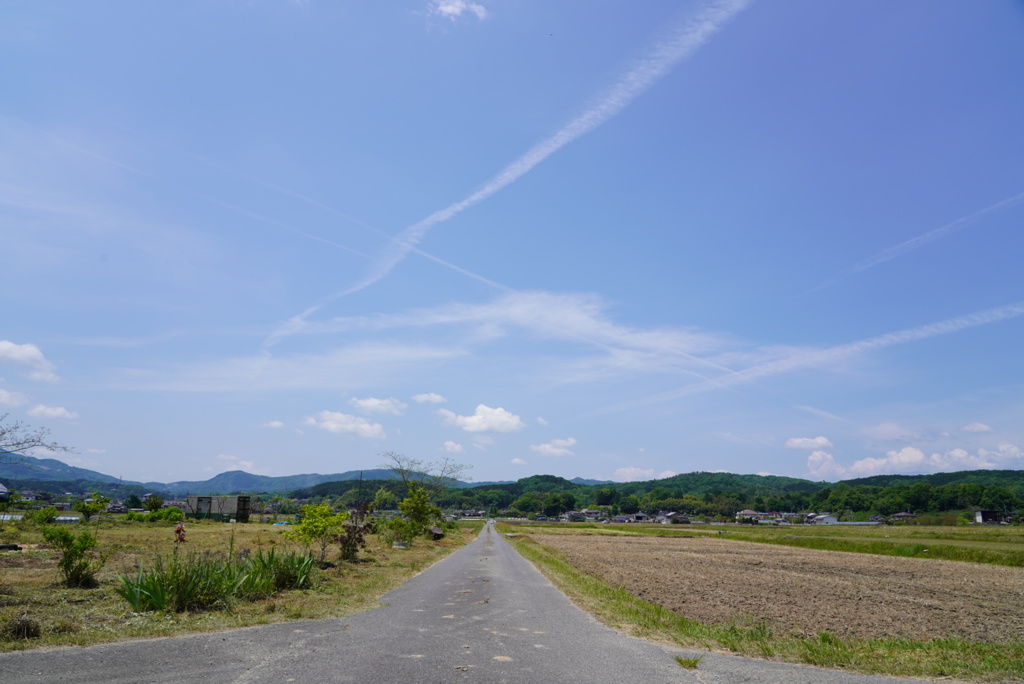 田舎道(jpeg撮って出し)