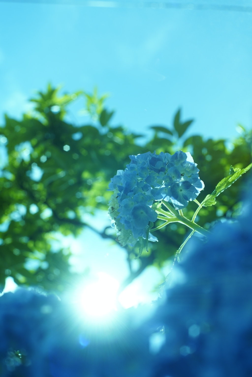 太陽と青空と