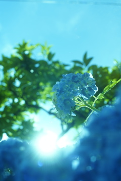 太陽と青空と