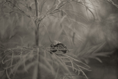 こんなところに