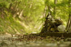 山登る石