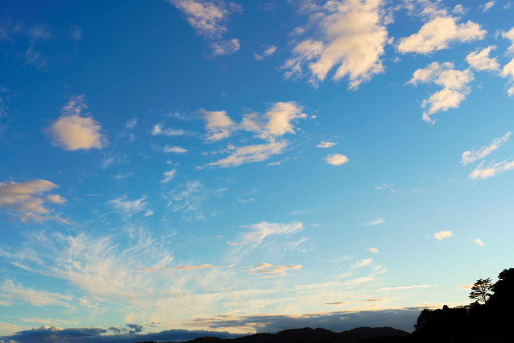 夏雲