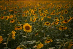 あなたを見つけて