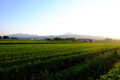 田園（石ころ蹴飛ばして）