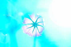思い出色