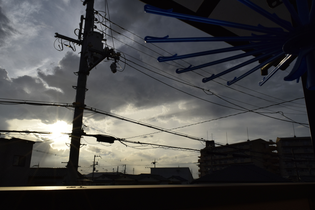 雨上がり