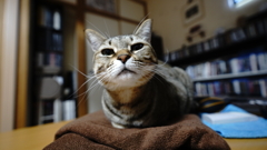 ぬん！