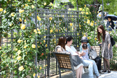 中之島バラ園 (5)